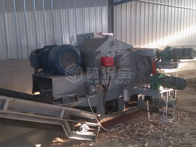 大連生物質(zhì)顆?，F(xiàn)場